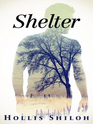 cover image of Shelter